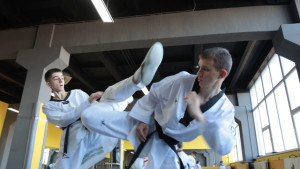 Липчане взяли медали Всероссийских соревнований по тхэквондо