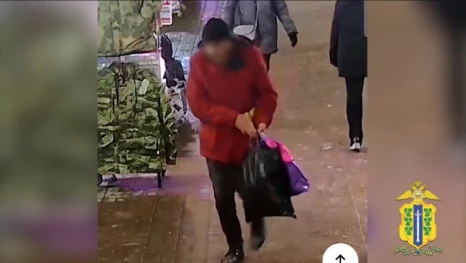 Житель Липецка предстанет перед судом за кражу сумки у пенсионерки в новогоднюю ночь