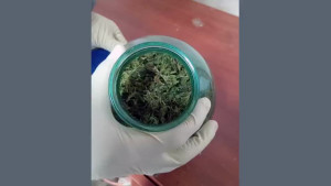 Мужчину поймали на хранении марихуаны в Липецкой области