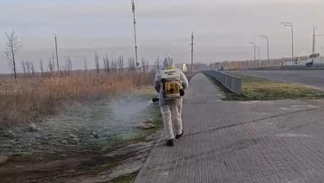 В Липецке 4 мая продолжат акарицидную обработку зеленых зон