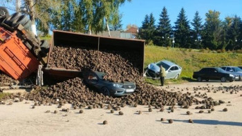 В Липецкой области перевернулся КАМАЗ со свеклой