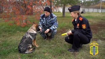 Ученица липецкой кадетской школы выбрала имя для будущей служебной собаки
