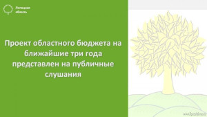 Проект областного бюджета на ближайшие три года представлен на публичные слушания