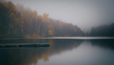 Дождь и туман обещают синоптики