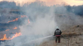 17 случаев возгарания сухой травы зафиксировано за 3 апреля в Липецкой области