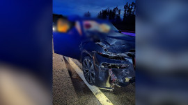 Пешехода разорвало автомобилем на трассе в Задонском районе