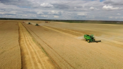 Больше 1,7 млн тонн зерновых и зернобобовых намолотили в Липецкой области