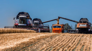 Миллион тонн зерна намолотили липецкие аграрии