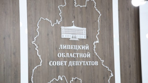 Доходы областного бюджета в Липецкой области в 2026 году составят чуть более 103 млрд рублей