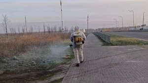 В Липецке 4 мая продолжат акарицидную обработку зеленых зон