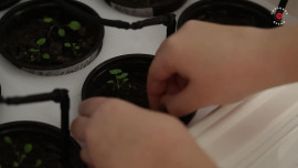 В Тербунском районе Липецкой области откроют первый в муниципалитете агротехкласс