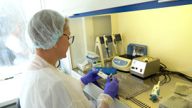 28 июля отметили всемирный День борьбы с геппатитом