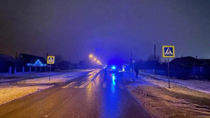 Полиция объявила в розыск водителя, сбившего двух пешеходов в городе Грязи