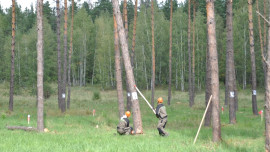 Стали известны имена лучших вальщиков леса и трактористов Липецкой области