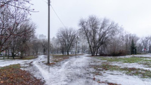 3 января в Липецке вновь аномально тепло и небольшой дождь