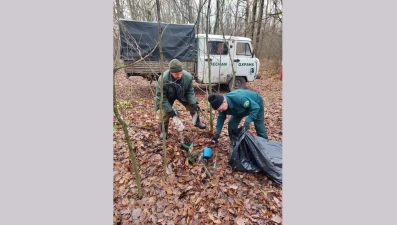 В лесах Липецкой области продолжается уборка мусора