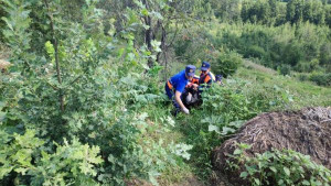 Под Липецком спасатели достастали из оврага 82-летнюю женщину, которая провела там два дня