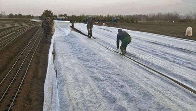 Чаплыгинские лесоводы завершили посев берёзы