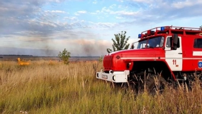 В регионе продлен запрет посещения лесов и въезда в них транспорта