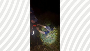 Липецкие спасатели вытащили из пруда нетрезвого мужчину