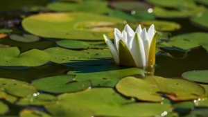 В четверг, 21 октября, ожидается отключение холодной воды и света