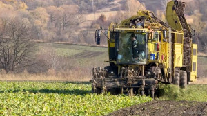 Больше 300 тысяч тонн сахара получили в Липецкой области (видеосюжет)