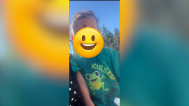 В Липецкой области проверяют инцидент с падением коляски