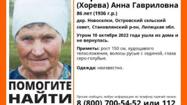 Поисковики ищут в Липецкой области 86-летнюю Анну Парамонову 