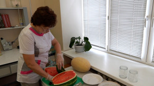 Роспотребнадзор проверил арбузы и дыни в Липецкой области 