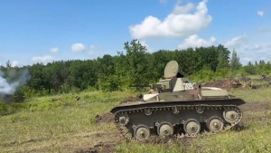 Образ Победы Советского Союза над нацистской Германией в кино и литературе 