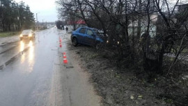 Водитель иномарки погиб после столкновения с деревом