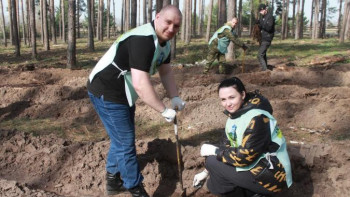 Тысячу маленьких березок посадили в Добровском округе 