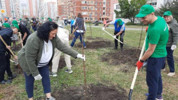 НЛМК и фонд «Милосердие» подарят Липецку более 2500 деревьев и кустарников