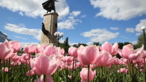 1 мая в центре Липецка на один час ограничат движение в связи с праздничными мероприятиями