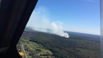 Пожар в Воронежском заповеднике потушили