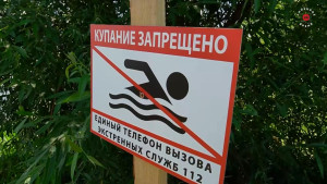 Тело мужчины нашли в пруду Долгоруковского района