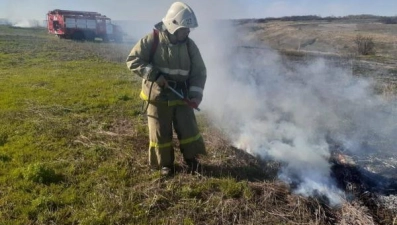 С 15 по 16 апреля на территории Липецкой области сухая трава горела 54 раза