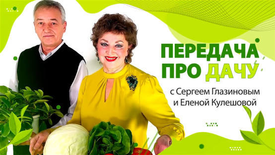 Передача про дачу