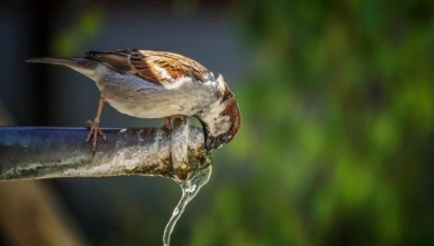 Плановые отключения холодной и горячей воды. Адреса