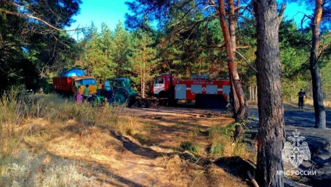 В Хлевном потушили пожар в лесном массиве на берегу Дона