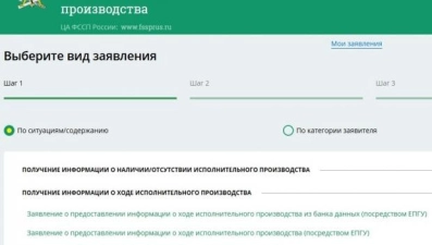 К приставам липчане могут обращаться через личный кабинет 