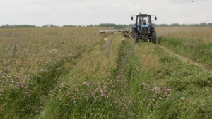 Заготовка кормов началась 