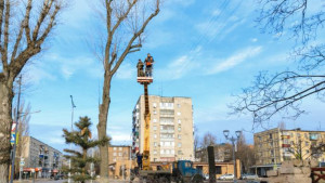 В центре Липецка сносят три засохших ясеня