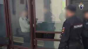 Ельчанина будут судить за жестокое нападение на пятилетнюю девочку