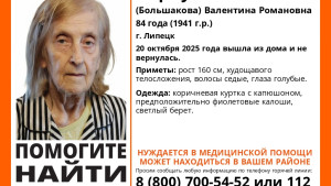 В Липецке ищут Валентину Чернухину