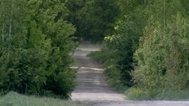 Въезд в леса Липецкой области запрещен