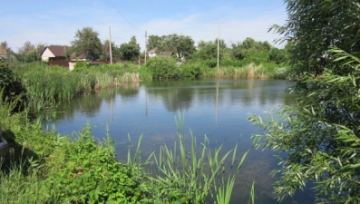 Пруды Липецка могут передать в аренду