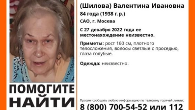 Пропавшую 84-летнюю москвичку ищут в Липецкой области