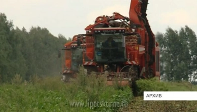 В регионе стартовала уборка сахарной свеклы