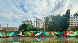 Граффити с птицами украсит отмостки Комсомольского пруда в Липецке